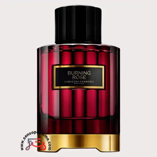 عطر ادکلن کارولینا هررا برنینگ رز